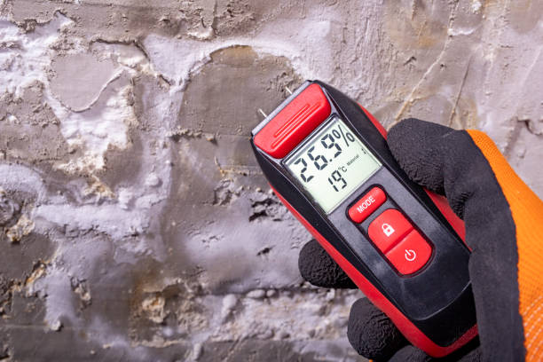 Best Toxic Mold Removal  in La Luz, NM
