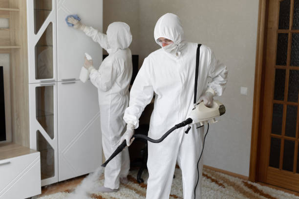 Best Crawl Space Mold Removal  in La Luz, NM